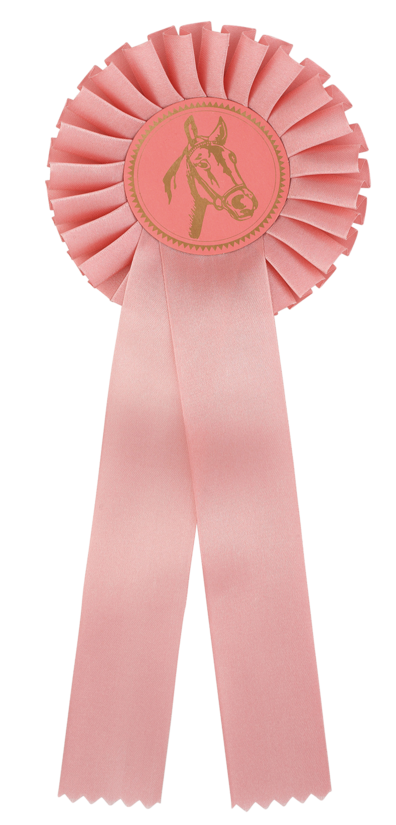 "Dusty Rose" – Maigi rozā satīna rozete jāšanas sacensībām